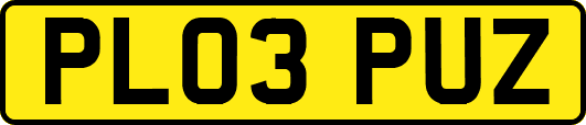 PL03PUZ