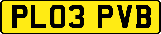 PL03PVB