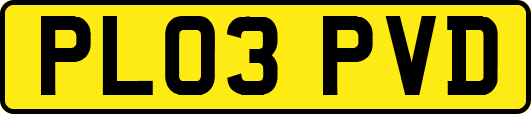PL03PVD