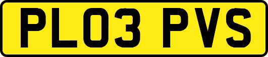 PL03PVS