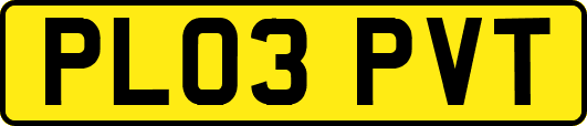 PL03PVT