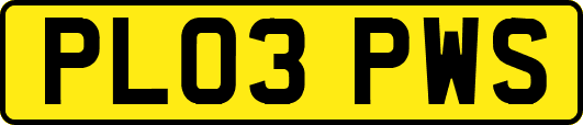 PL03PWS