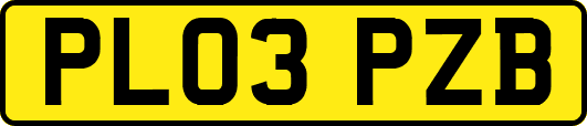 PL03PZB