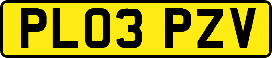 PL03PZV