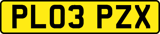 PL03PZX