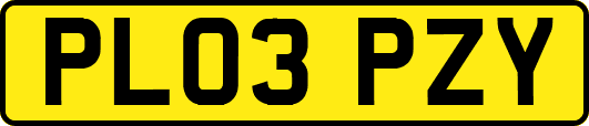 PL03PZY
