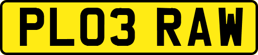 PL03RAW
