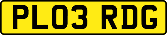 PL03RDG