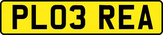 PL03REA