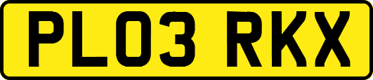 PL03RKX