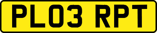 PL03RPT