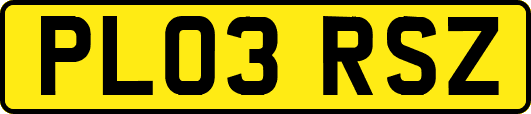 PL03RSZ