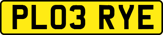 PL03RYE