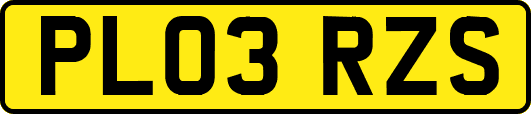 PL03RZS