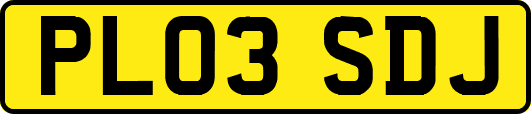 PL03SDJ