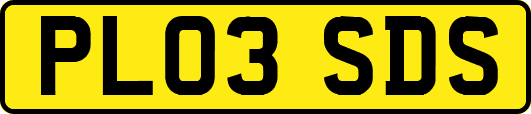PL03SDS