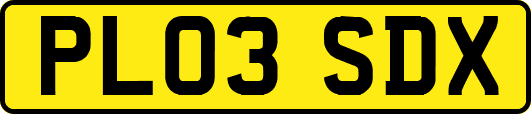 PL03SDX