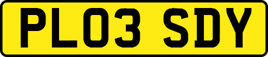 PL03SDY