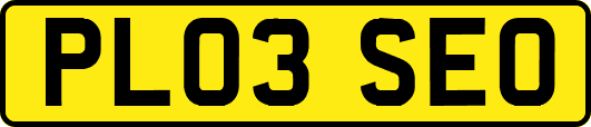 PL03SEO