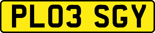 PL03SGY