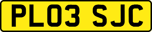 PL03SJC