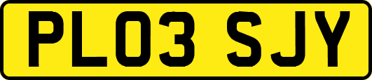 PL03SJY