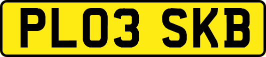 PL03SKB