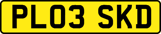 PL03SKD