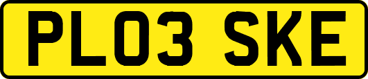 PL03SKE