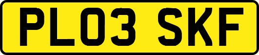 PL03SKF