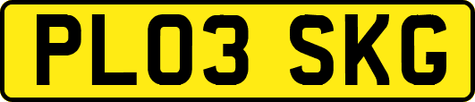 PL03SKG