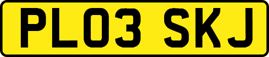 PL03SKJ