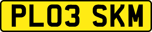 PL03SKM