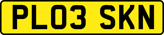 PL03SKN