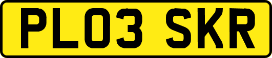 PL03SKR