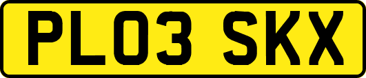 PL03SKX
