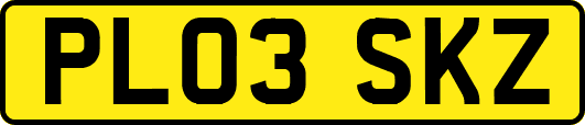 PL03SKZ