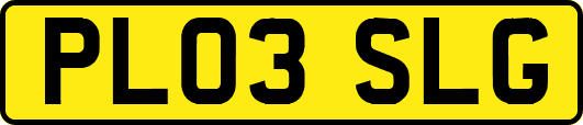 PL03SLG