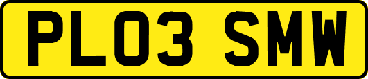 PL03SMW