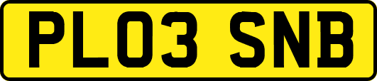PL03SNB