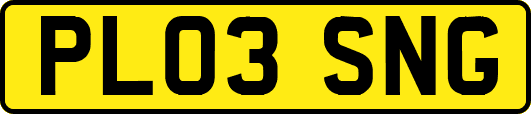PL03SNG