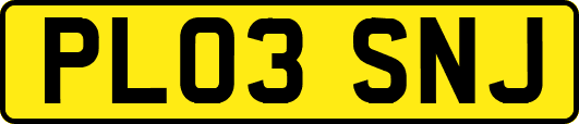 PL03SNJ