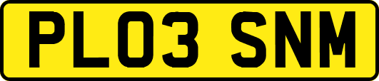 PL03SNM