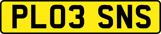 PL03SNS