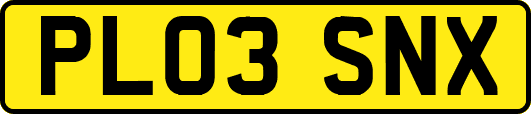 PL03SNX