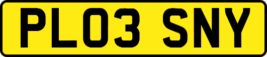 PL03SNY