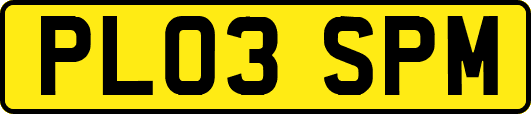 PL03SPM