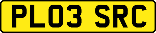 PL03SRC