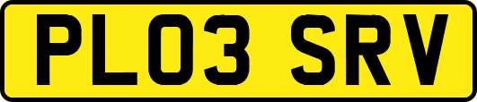 PL03SRV