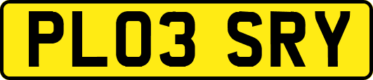PL03SRY